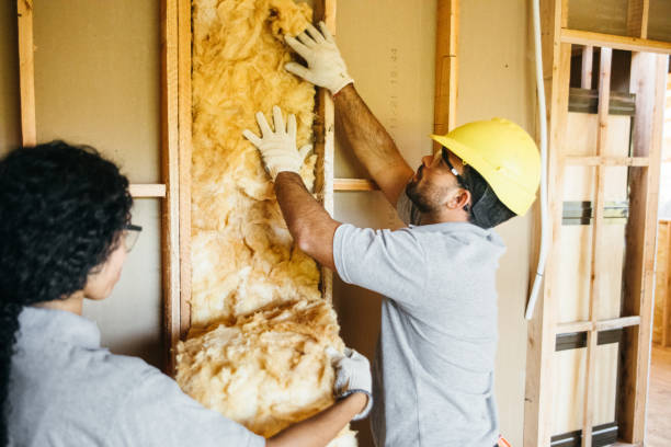 Types of Insulation We Offer in Republic, MO